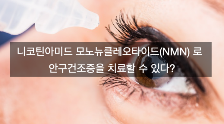  니코틴아미드 모노뉴클레오타이드(NMN) 로 안구건조증을 치료할 수 있다?