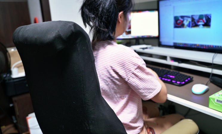  기능성 자세교정방석 내 허리 피다