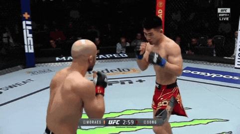UFC 베가스 50: 산토스 vs 안칼라예프 리뷰(GIF) - 말론 모라에스 은퇴 UFC 베가스 50: 산토스 vs 안칼라예프 리뷰(GIF) - 말론 모라에스 은퇴