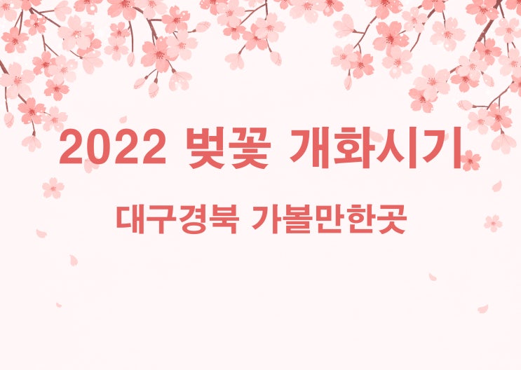 2022년 벚꽃개화시기 대구경북 벚꽃여행지 추천