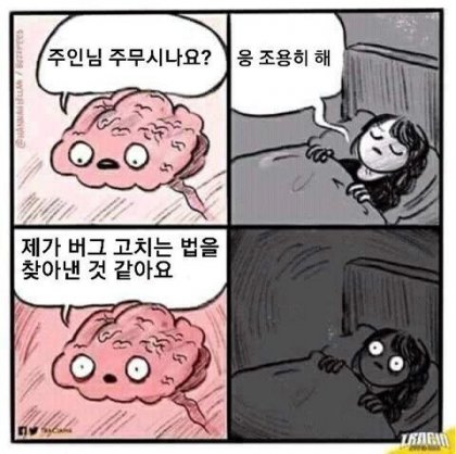  프로그래머가 잠자기전.jpg