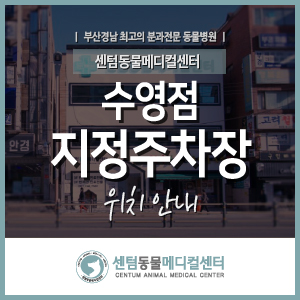  [수영점] 지정 주차장 안내 (센텀동물메디컬센터) 2022.03 기준