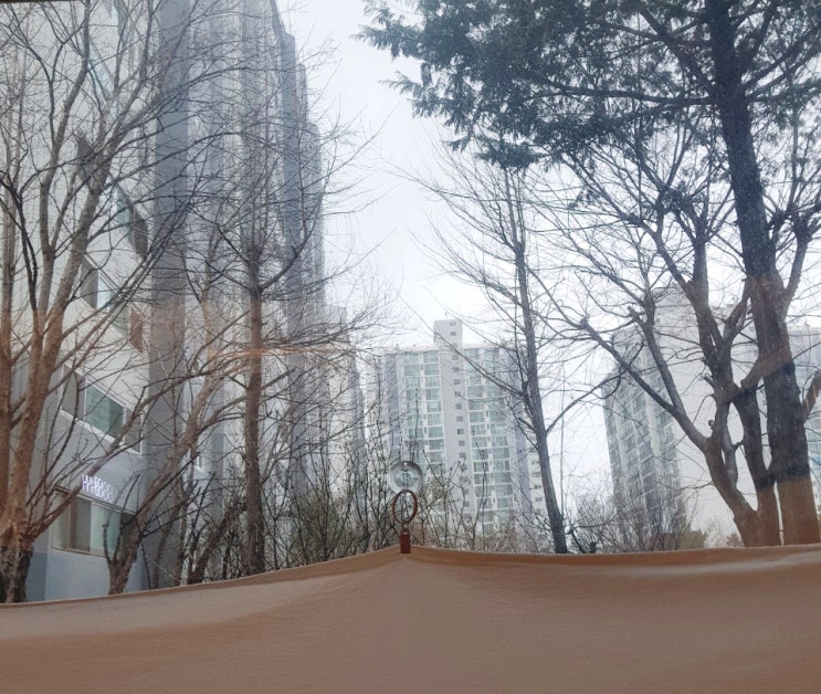  아파트 1층 사생활 보호 커튼 달기