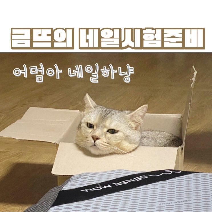  [4탄]네일실기재료! 젤램프 왔어요!(f. 내돈내산)