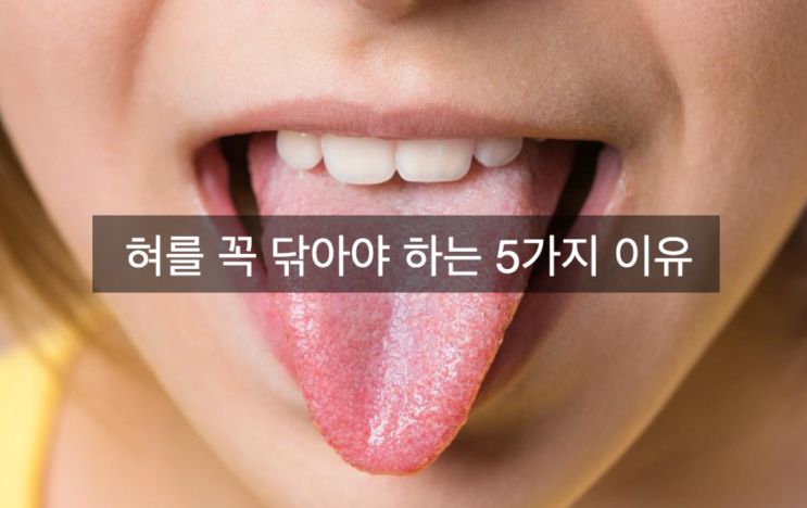  혀를 꼭 닦아야 하는 5가지 이유와 방법에 대해 소개합니다.