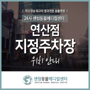  [연산점] 지정 주차장 안내 (24시 센텀동물메디컬센터) 2022.03 기준