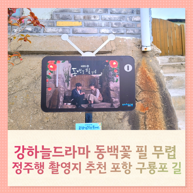 강하늘드라마 동백꽃 필 무렵 꼭 가야할 촬영지 포항 구룡포길 강하늘드라마 동백꽃 필 무렵 꼭 가야할 촬영지 포항 구룡포길