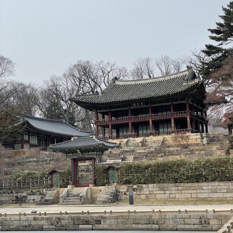 서울 고궁의 비밀의 화원(비원), 창덕궁 후원에 다녀왔어요