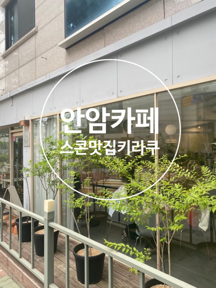  고려대, 안암 카페 스콘 맛집 키라쿠 (주차가능한 카페)