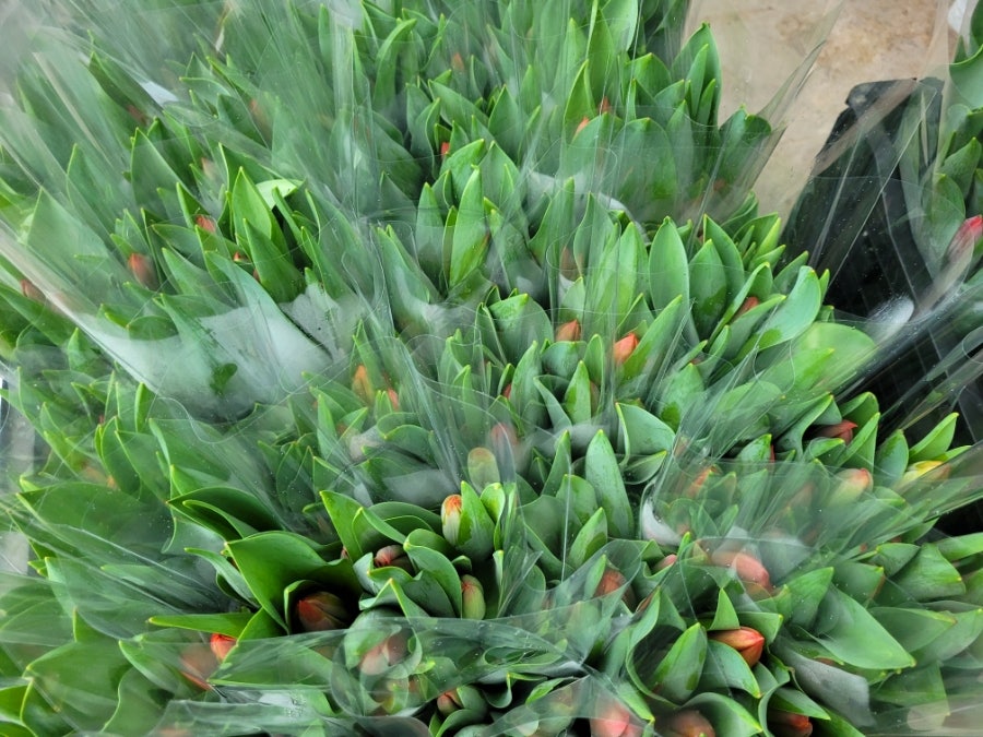 원평팥죽 사진 4