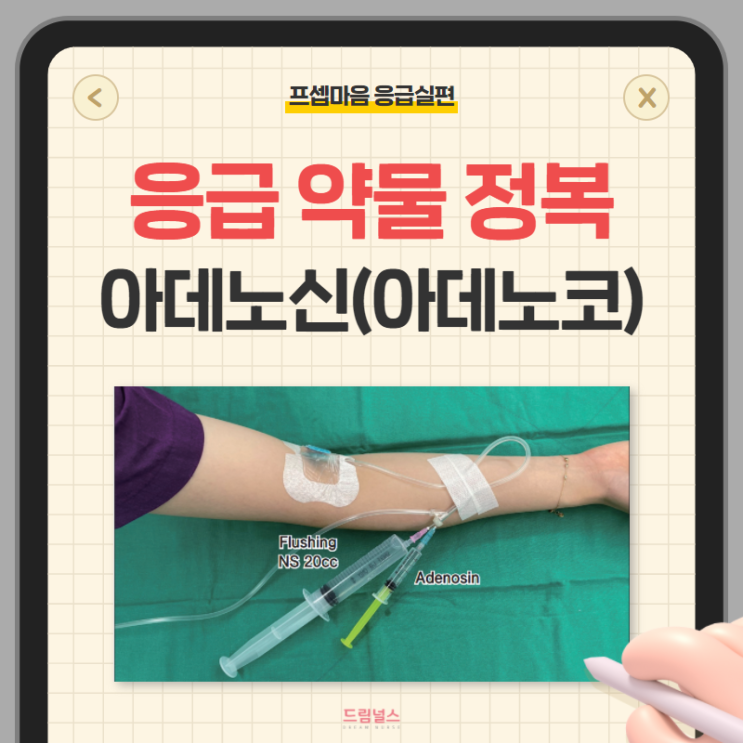 아데노코 Adenocor 아데노신 Adenosine 응급약물 정복하기! 아데노코 Adenocor 아데노신 Adenosine 응급약물 정복하기!