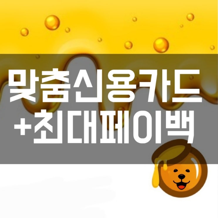  신용카드 추천 및 최대 페이백
