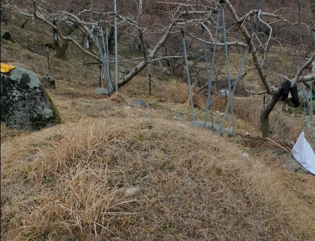  2022년 경북 김천시 구성면 양각리 화장후 가족묘 안치 고인돌장묘개발장의사 #장의사 #가족묘 #이장 #화장 #e하늘장사 #윤달