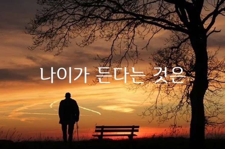  나이가 든다는 것은 -김현태-