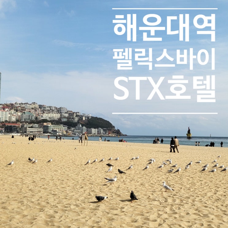  [부산 해운대구] 해운대역앞 가성비는 5등급인 "펠릭스바이STX호텔"(구)시타딘