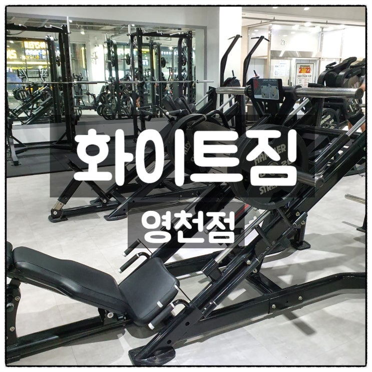  24시헬스 동탄헬스 동탄필라테스 화이트짐 영천점 소개