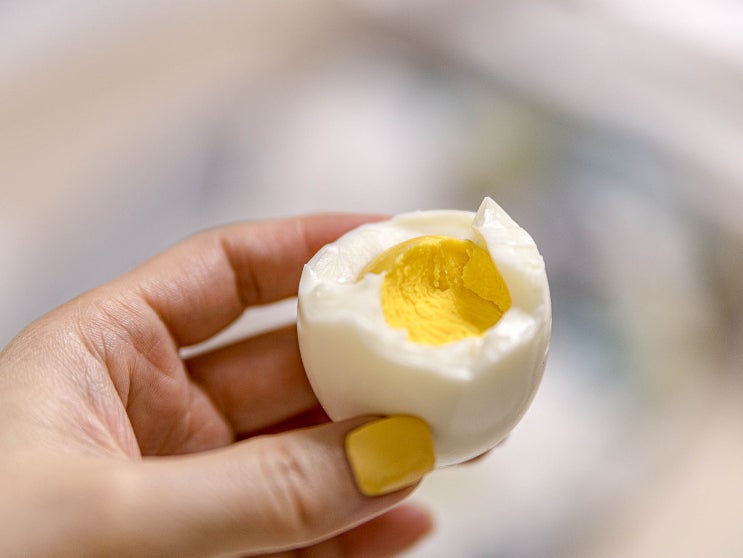  강아지 삶은계란 흰자 노른자 급여 이것만 알아두기!