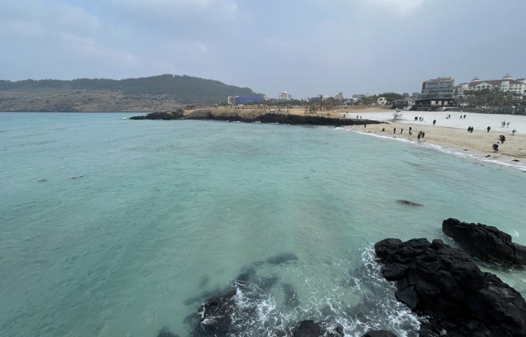 제주 함덕 델문도 카페