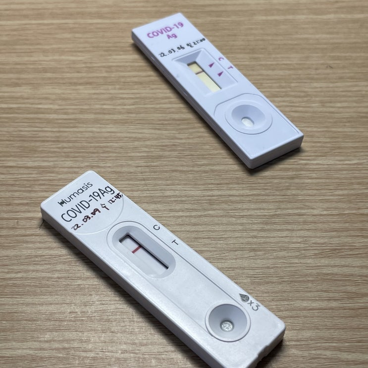  코로나 양성 확진으로 대표에게 해고/권고사직 통보 받고 실업급여 신청도 못하는 신세가 되다.