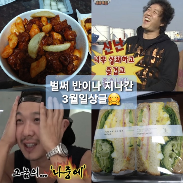  비상걸린 3월1~2주차 일상글..c대선투표/꿀마니닭강정/화이트데이/뚜레쥬르샌드위치/회뜨는집