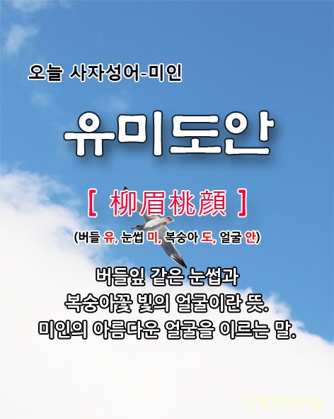 [803] 오늘 사자성어 유미도안(柳眉桃顔)의 뜻은?