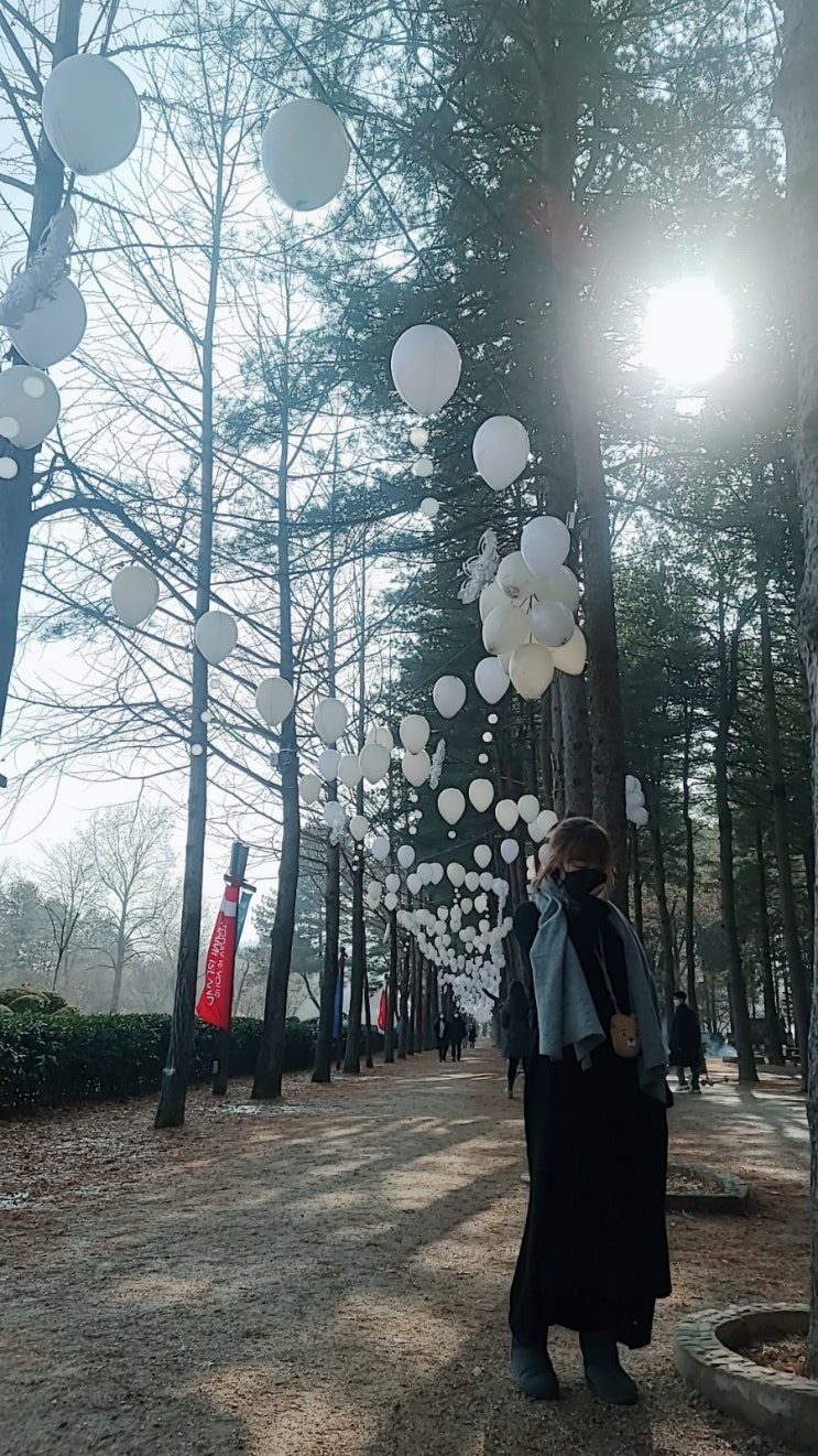  서울근교 경기도여행 가평데이트코스 포토존 가평남이섬에 가다!