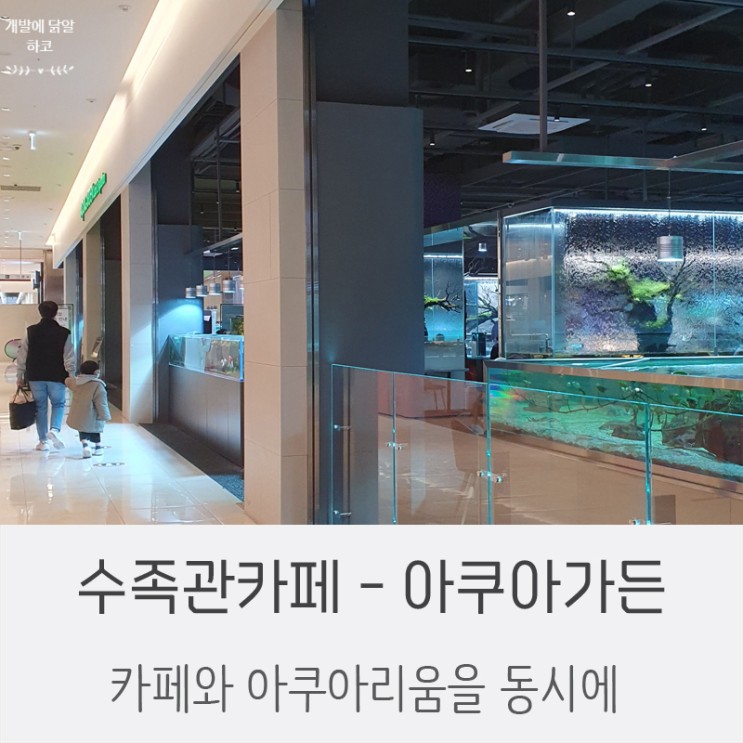 기흥리빙파워센터 - 수족관카페 아쿠아가든 기흥점 (아쿠아리움과 카페의 아름다운 조화!)