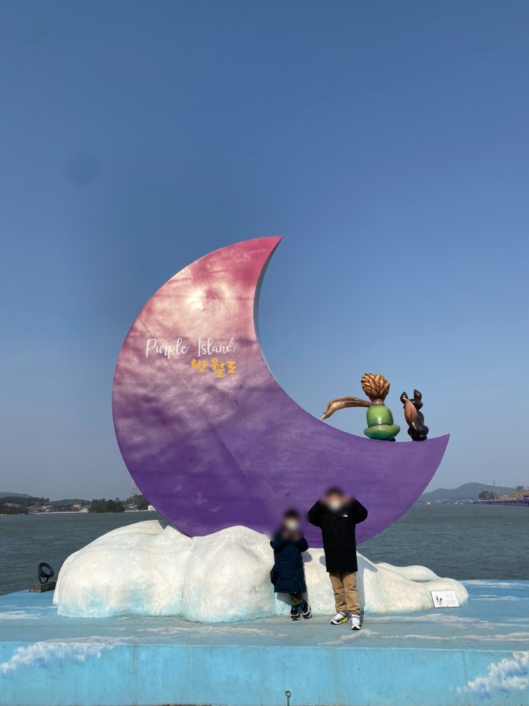  전남 신안, 퍼플섬 [애견동반]