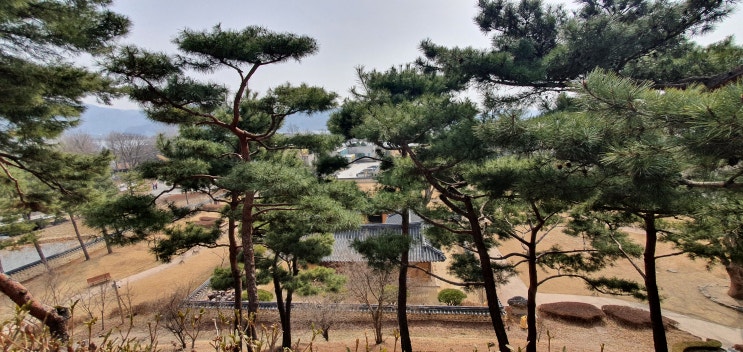  한국차문화 ㅡ조선 실학의 거봉, 우리차 부흥의 선도자, 다산 정약용의 유적지 남양주 마재마을~~