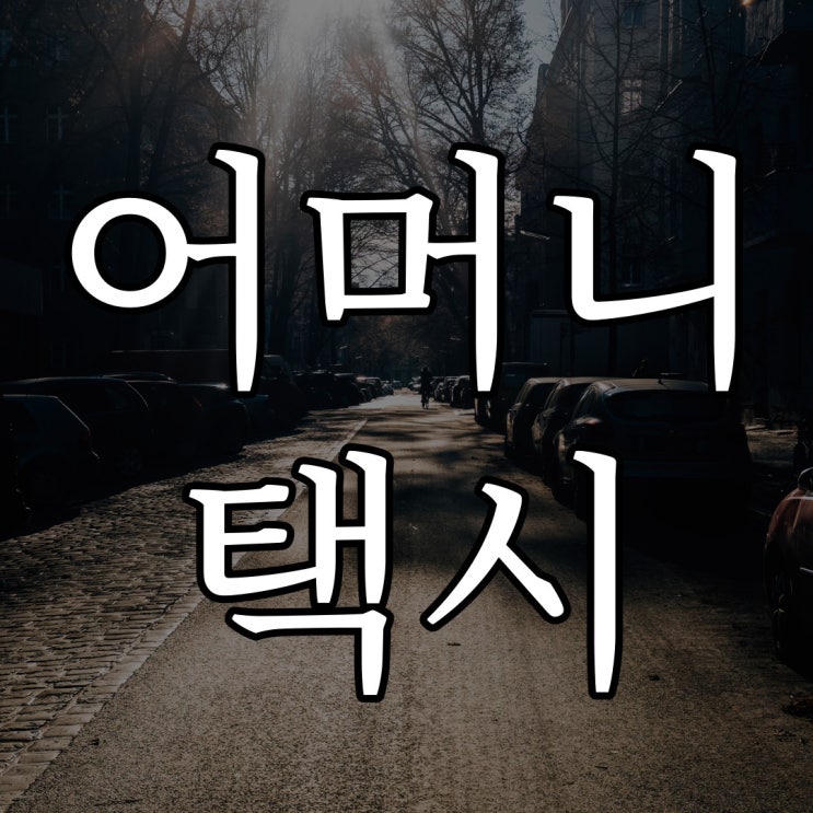  어머니에게 들은 택시 이야기 / 레전드 무서운 이야기