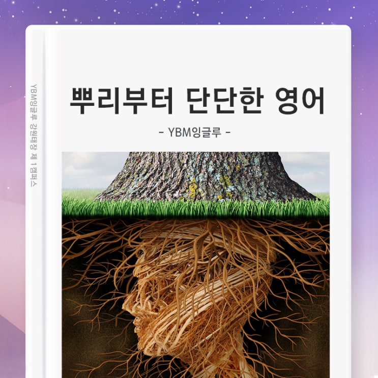  학습공백을 채워주는 나에게 딱 맞는 영어학습 / 영어전문가와 함께 자신감과 실력을 높이고 / 올바른 학습습관을 만들어요