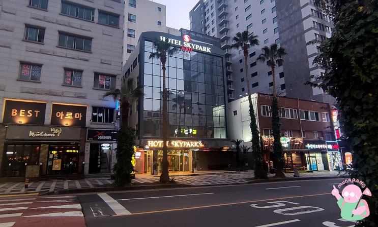  [제주:연동] 제주시내호텔 이런 가성비 없다 <호텔 스카이파크 제주1호점>