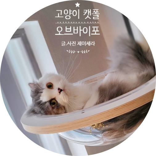 튼튼함에 대명사 오브바이포 알루미늄 고양이 캣폴 개봉기 (feat. 고양이 캣타워)