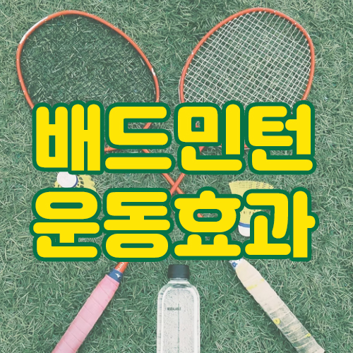  배드민턴 운동효과와 장단점을 알아보도록해요!