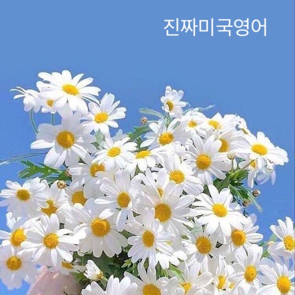 EBS 진짜미국영어 REVIEW [22.03.07~11]