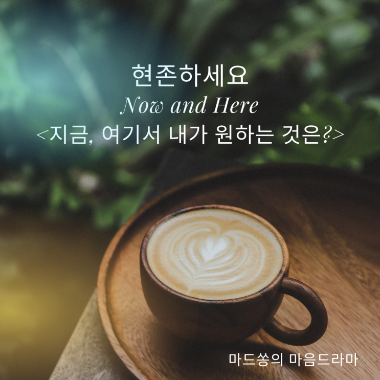 '지금 여기'에 집중(현존, Here and Now, 팟캐스트_마음드라마)