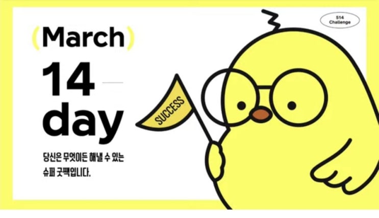  3월 514 챌린지 14일차 완주 후기