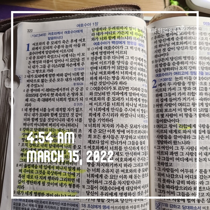  챌토링 감사하기-1일