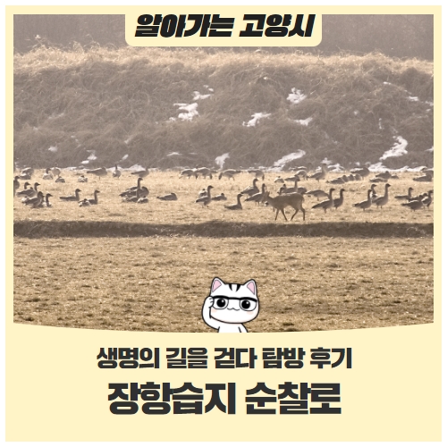 장항습지 순찰로, 생명의 길을 걷다 장항습지 순찰로, 생명의 길을 걷다