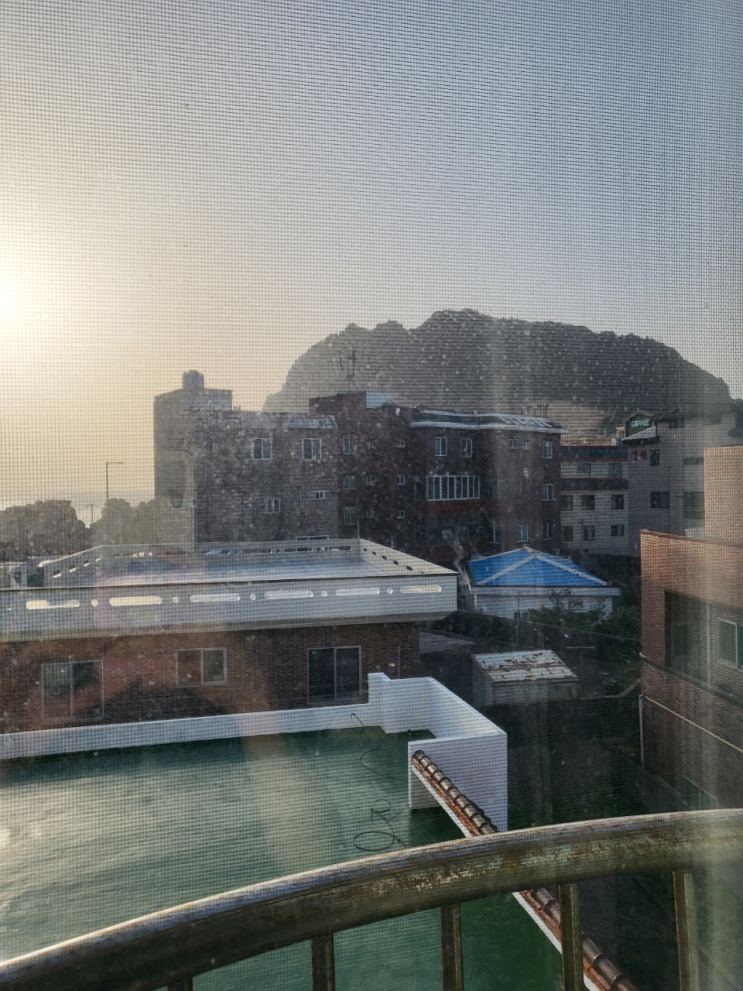  반려견동반 3박 4일 제주도 여행-첫날 숙소 편
