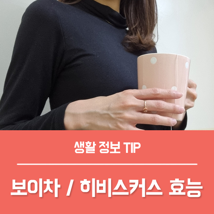 히비스커스 보이차 효능 임산부 부작용 알아두기