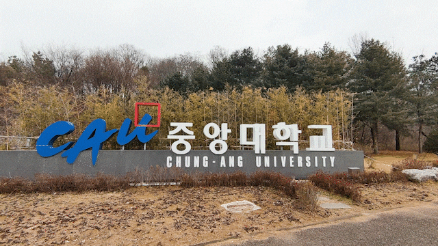 중앙대학교 안성캠퍼스 졸업생이 써보는 리뷰 중앙대학교 안성캠퍼스 졸업생이 써보는 리뷰
