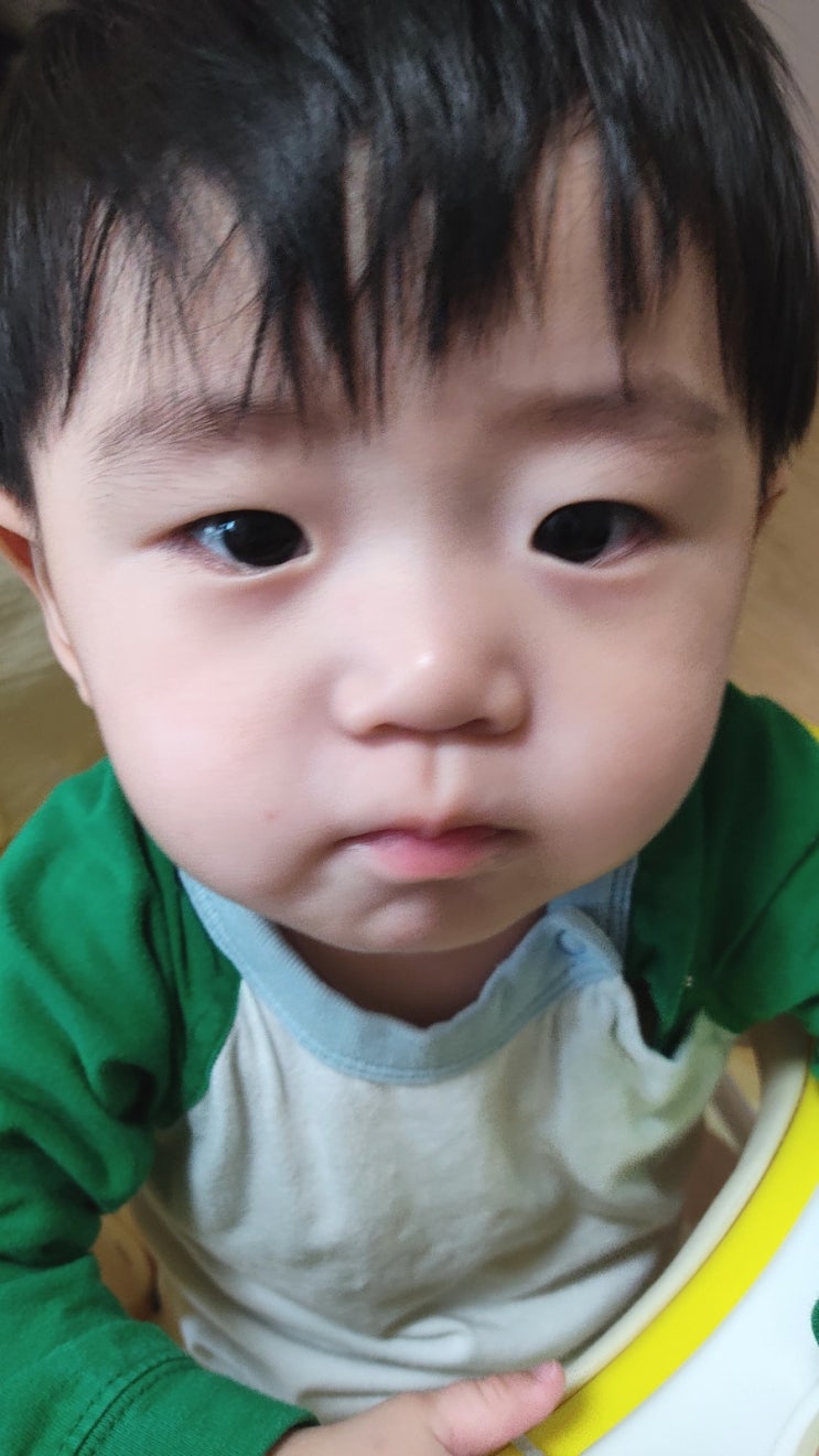 [육아] 9개월 아기 성장일기