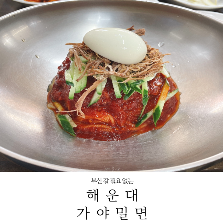  [파주 맛집] 이름은 해운대지만 파주에 있는 사장님 부산사람 해운대 가야밀면 (메뉴, 주차_22.2.12)