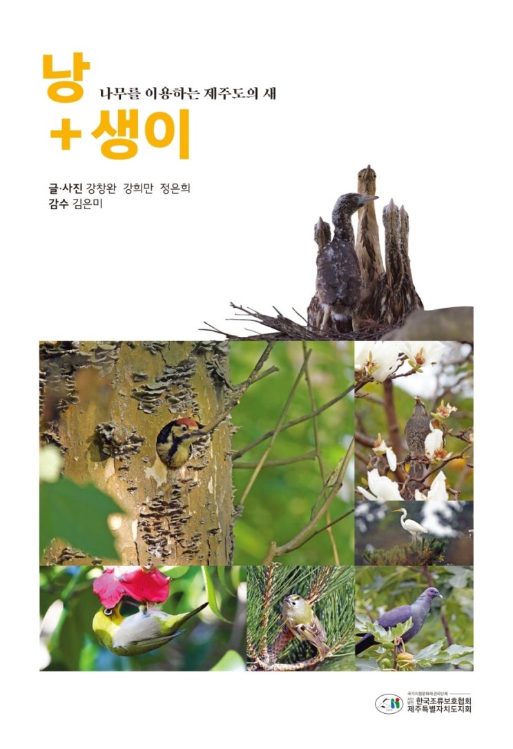 낭+생이 #나무를 이용하는 제주도의 새