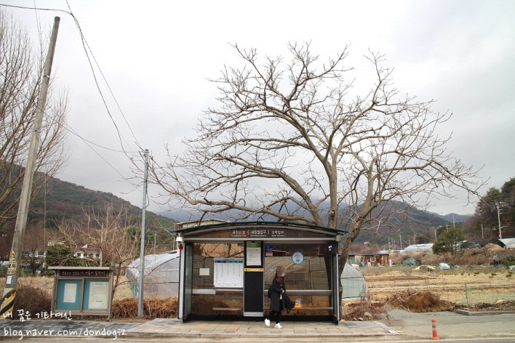  남양주 베이커리 카페 도넛팩토리 - 옆집은 커피 로스팅팩토리
