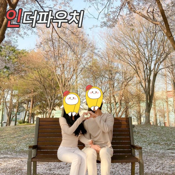  2022 경기도 벚꽃 개화시기 및 명소추천 커플아이템 콘돔준비는 필수