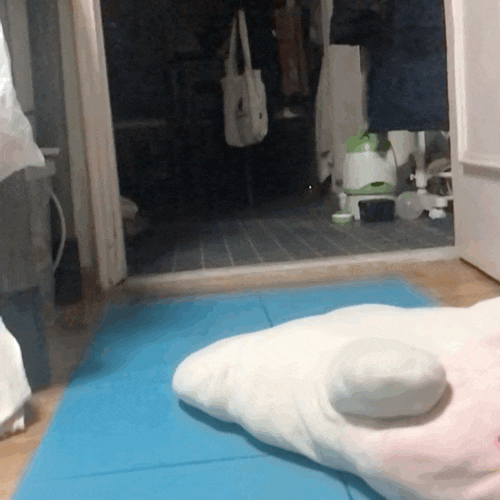  [일상] 퇴사일기 #9 : 나 오늘 뭐했지c