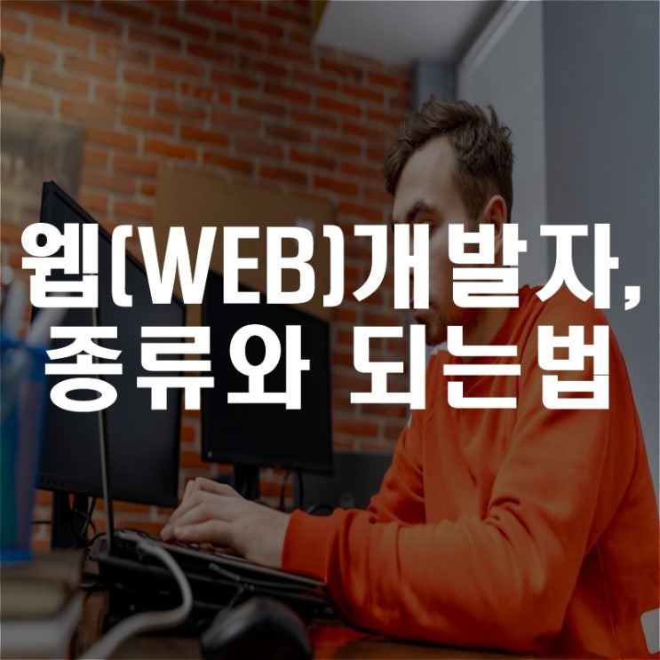  웹(WEB)개발자, 종류와 되는법
