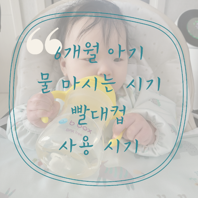  6개월 아기 물 마시는 시기 비박스 빨대컵 사용